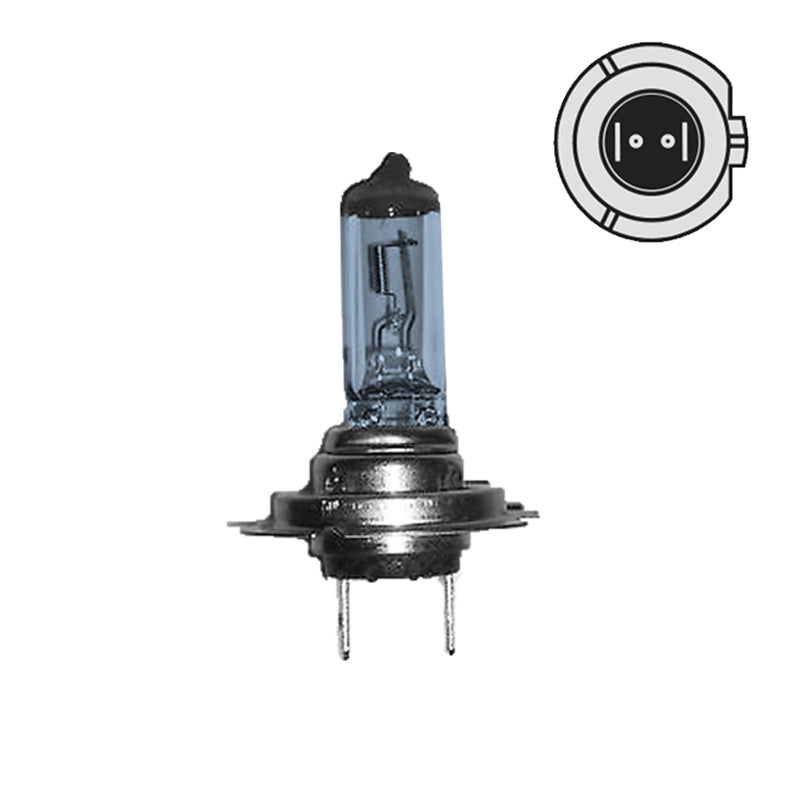 H71255: H7 12V 55W Halogen Lamp / Halogen Lightbulb