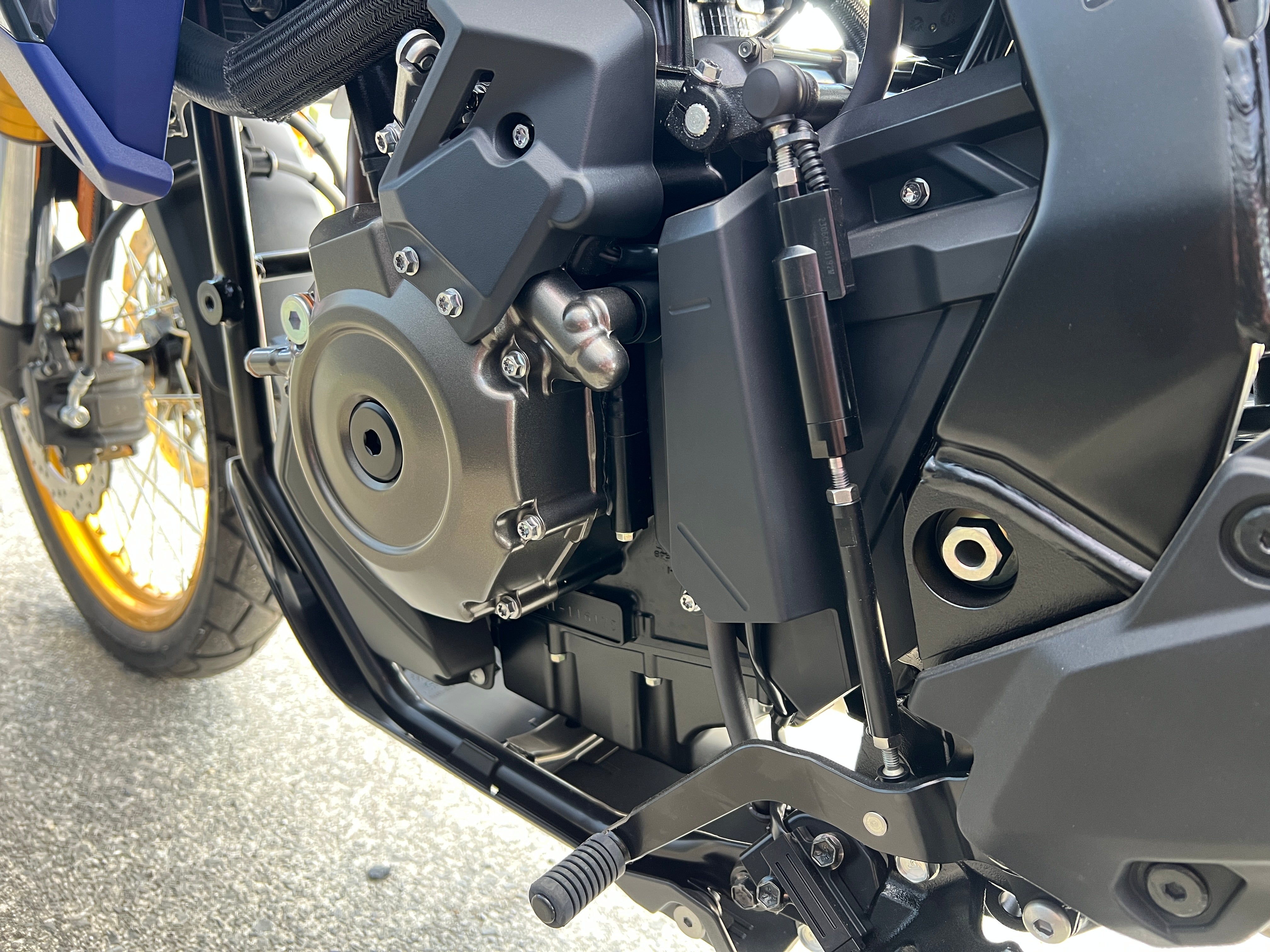 SUZUKI VSTROM 800 DE800 2025 - SUZUKI FEST - FREE PANNIERS!