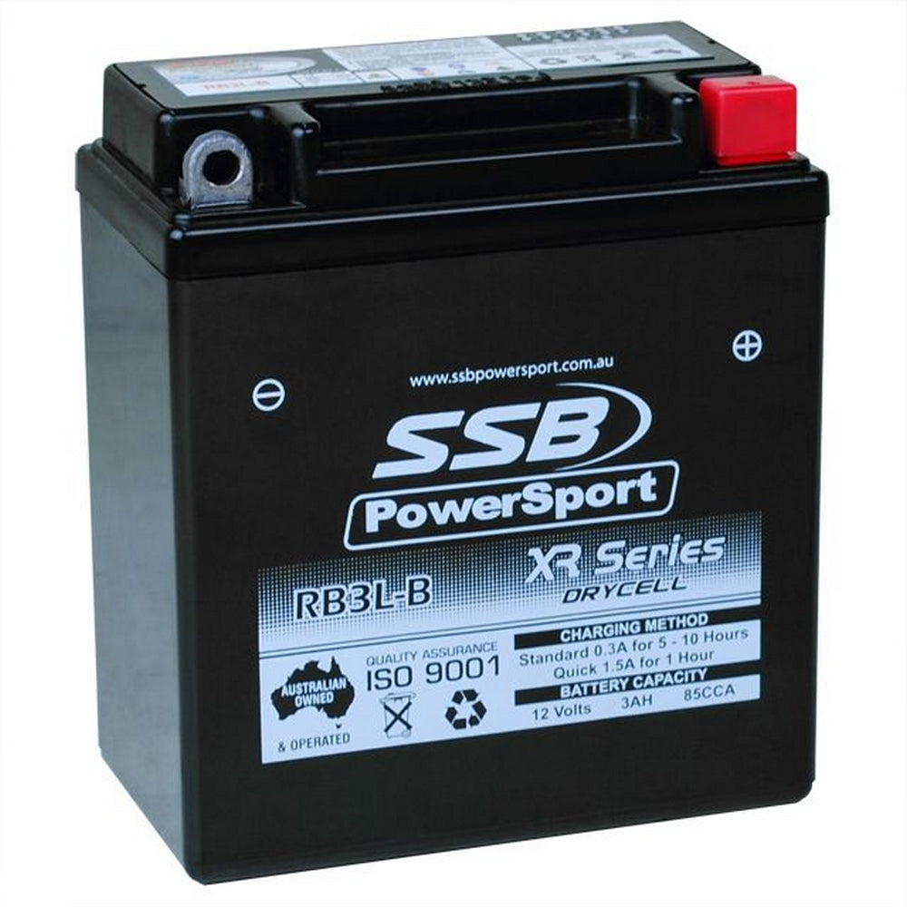 MOTORCYCLE AND POWERSPORTS BATTERY (YB3L-B) AGM 12V 3AH 85CCA BY SSB HIGH PERFORMANCE